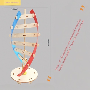 DNA çift sarmal yapısı modeli teknolojisi küçük el yapımı diy İnsan gen biyolojik bilim deney ekipmanları DNA modeli - Product Image 3