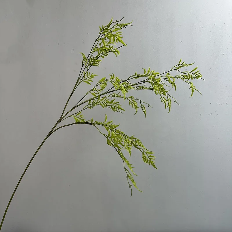 Long Persian leaves