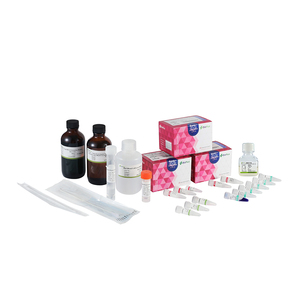 Bioer BSC80 Biospin toplam RNA ekstraksiyon kiti II Dna ekstraksiyon Test kiti - Product Image 6