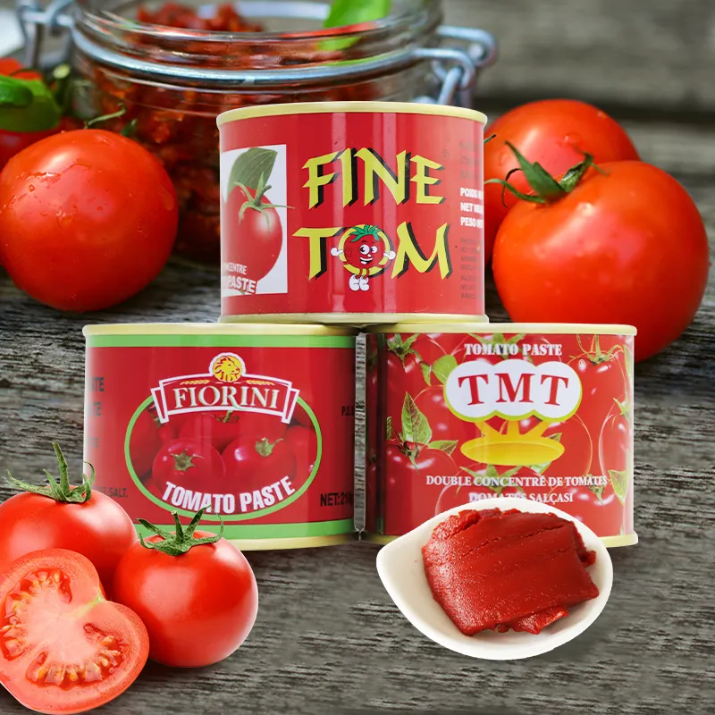 Vendita calda OEM 400g * 24 cartone 400g/stagno 400g pomodoro in scatola pasta di pomodoro Ketchup per Dubai