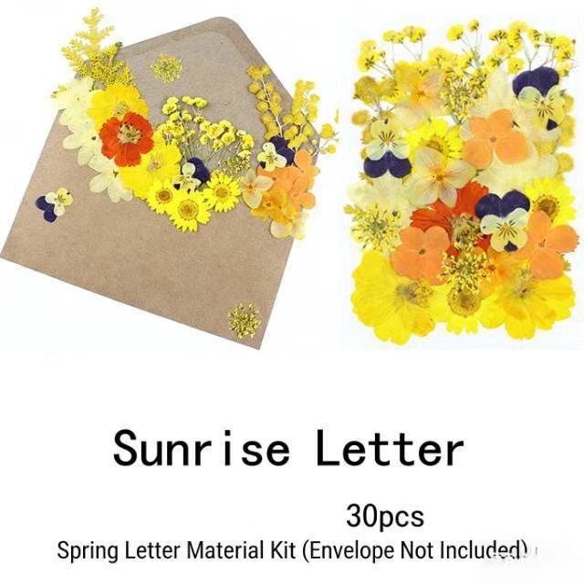 Lettre du Soleil Éclatant (30 Pièces/Sachet)