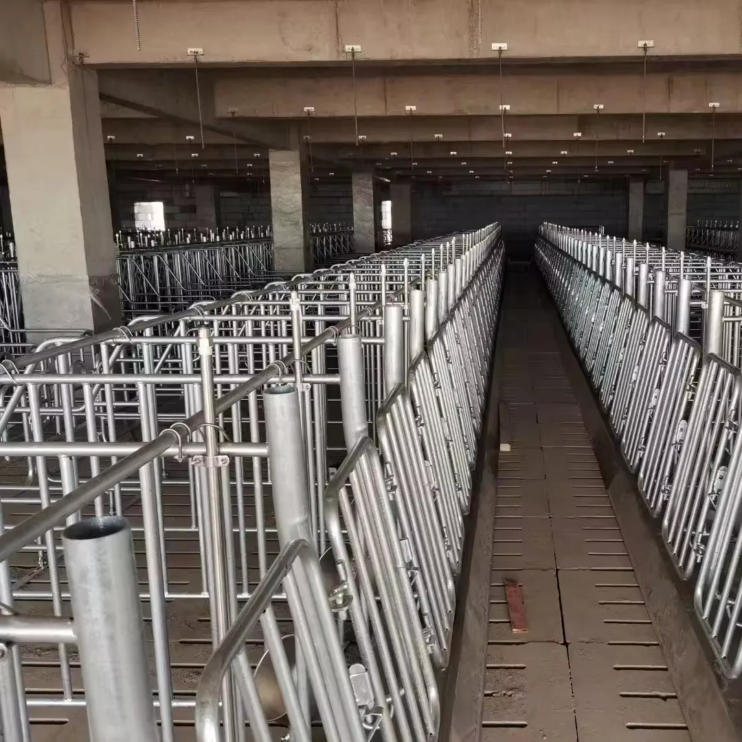Equipamento de gerenciamento de fazenda leiteira durável trava de pescoço galvanizado para vacas e gado