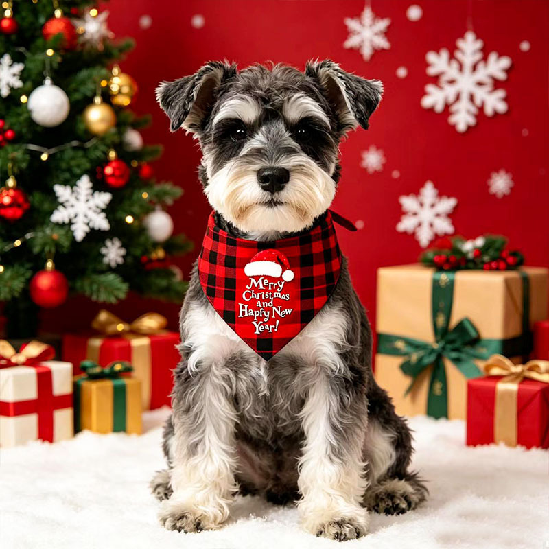 Style de Noël A