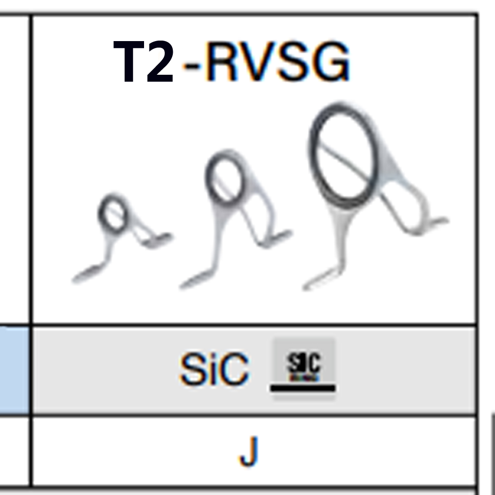 T2-RVSG