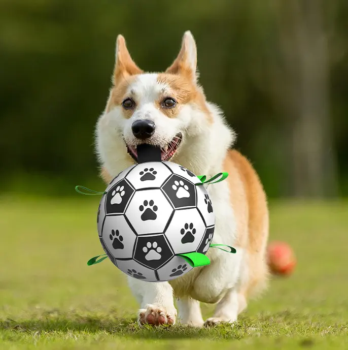 Giocattoli interattivi per cani di grossa taglia da calcio per animali domestici giocattoli per cani da calcio con linguette da allenamento all'aperto palloni da masticare