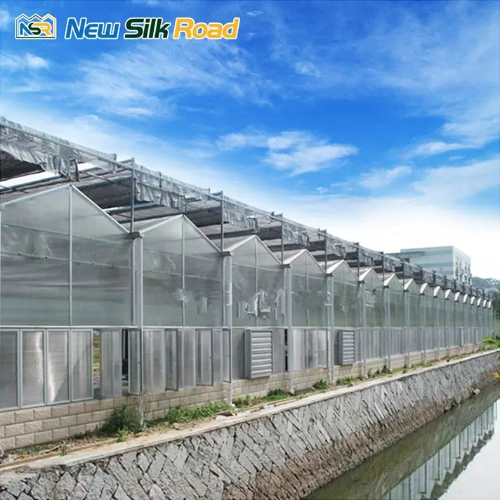 Năng lượng mặt trời Máy sấy greenhousepopular ngoài trời màu xanh lá cây nhà Polycarbonate nhôm khung Vườn Nhà Kính cho nông