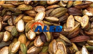 High Efficiency <strong>Cocoa</strong> <strong>Beans</strong> Sheller Peeling <strong>Machine</strong> <strong>Cocoa</strong> Pod Separating <strong>Machine</strong> - Product Image 6