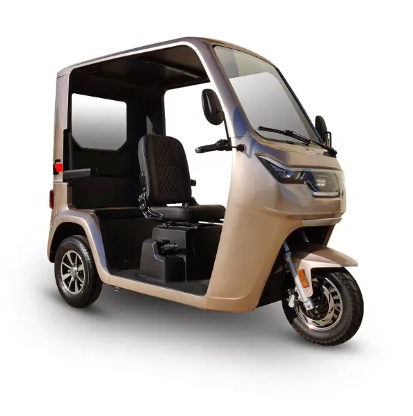Triciclo eléctrico de 3 ruedas para adultos y ancianos, Scooter Eléctrico para discapacitados