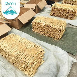 Trung Quốc Thảo Dược Khô Hữu Cơ Panax Hoang Dã Trung Quốc Nhân Sâm Hạt Giống Sản Phẩm Gốc Gensing 25 Cái Renshen - Product Image 1