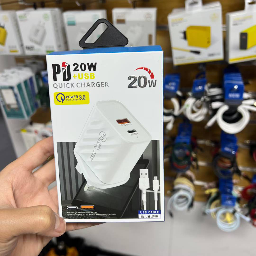 20W-Dual Ports