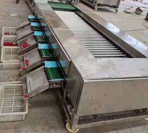 Clasificación automática del tamaño de la máquina de clasificación de frutas tamaño ajustable ISO9001 CE - Product Image 5