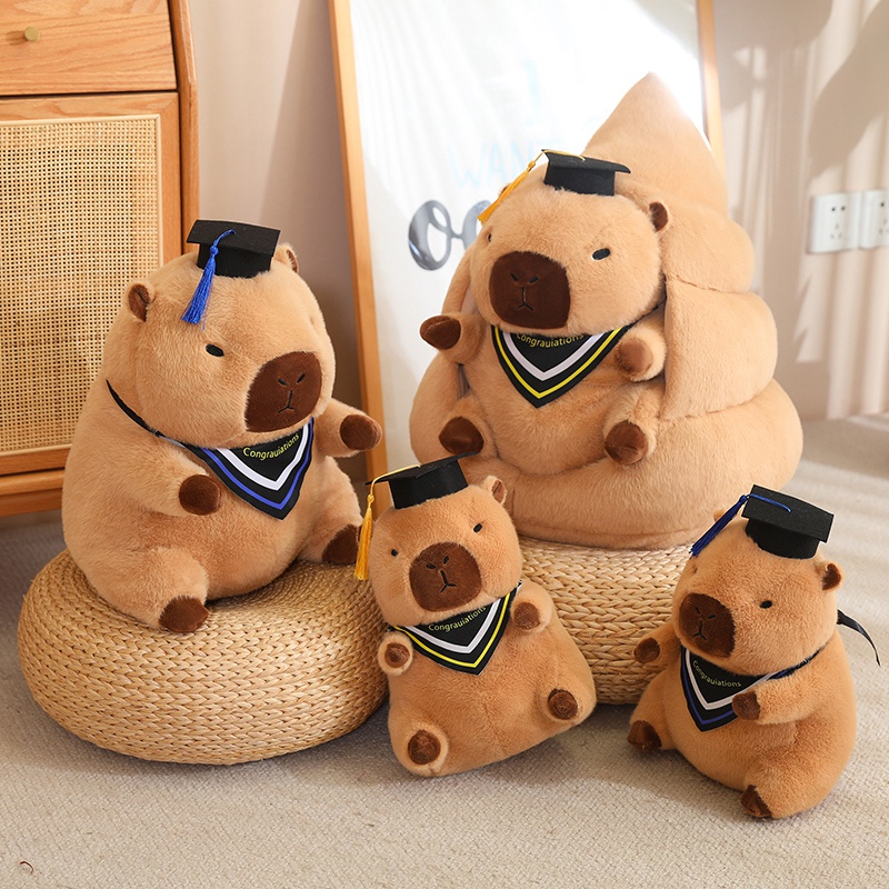 Doctor Hat capybara Guinea Pig Graduation Commemorative <strong>Gift</strong> School <strong>gifts</strong> for girl for boy - Product Image 3
