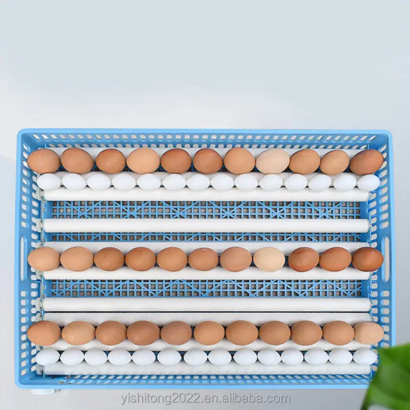 حاضنة البيض ، مواد جديدة لمزارع الدجاج ، حاضنات بيض مستعملة للبيع