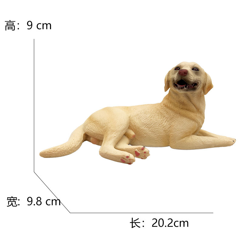 3550 labrador-415g