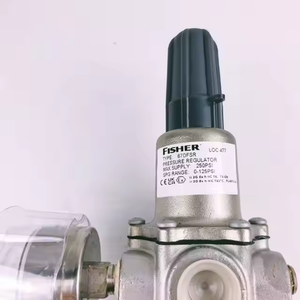 Fisher 67DFSR süreç regülatörü petrol ve gaz/kimyasal tesis kullanımı 316 SS inşaat Pilot işletilen tasarım hızlı kargo mevcut - Product Image 3