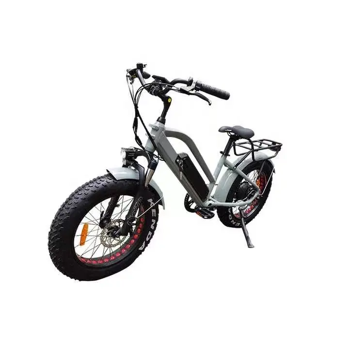 크루저 x260 먼지 2 휠 카고 바다 트레일러 지방 타이어 튜브 3000w 저렴한 구덩이 배터리 가격 포크 전기 산악 자전거