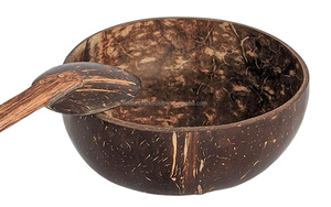 Bio Vegan Coconut Bowls Holz löffel Set Einweg küche Esszimmer Dekorative Servier schale für Hotel & Restaurant Salats ch üssel