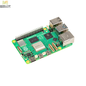 Merrillchip stok geliştirme panoları kitleri programcılar gömülü MCU DSP değerlendirme panoları ahududu Pi SC0915