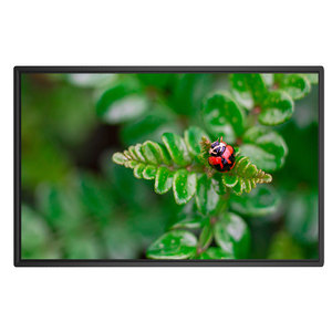 Wall Mount <strong>Android</strong> Digital Signage Smart <strong>LCD</strong> TV <strong>Display</strong> Menu Board Indoor Ad Screen for Advertising <strong>Display</strong> - Product Image 1