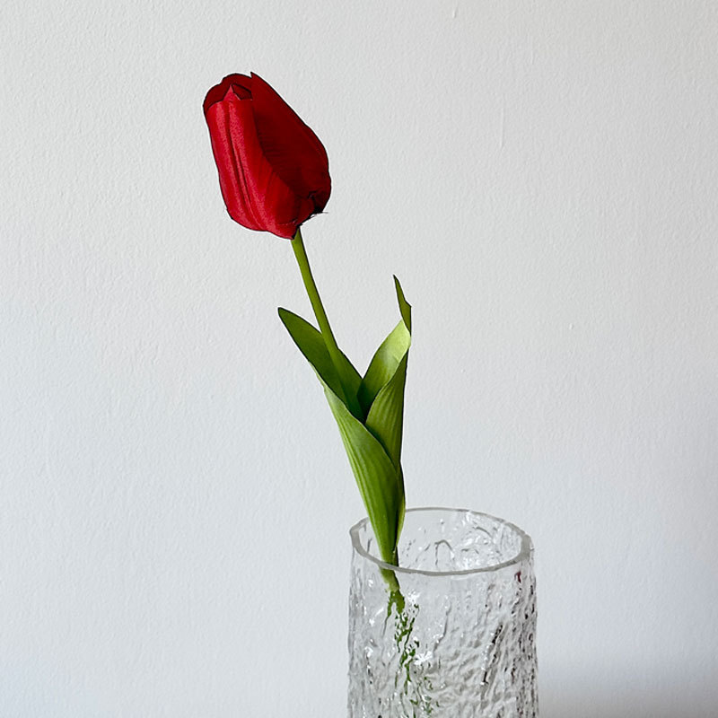 Red tulip