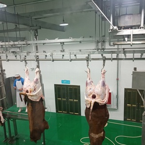 Kuhochtschalen Schienenwaage für Rinderschlachthaus Karkassenwaage - Product Image 3