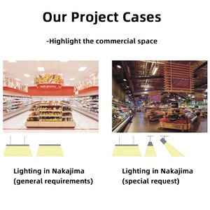 RONSE Led lineer spot çok fonksiyonlu işın açısı aydınlatma tavan süpermarket raf aydınlatma için - Product Image 4