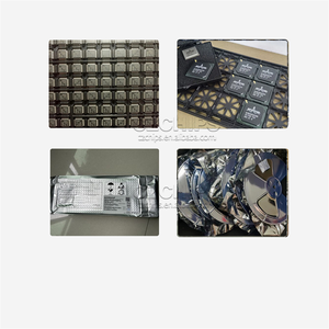 สั่งครั้งแรกวงจรรวมไมโครคอนโทรลเลอร์ PQFP-208 AT91SAM9XE512B-QU พิเศษ czsku: YI412PXZ90 - Product Image 2