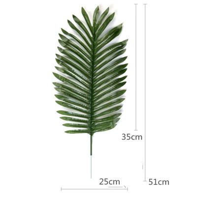 ปลาไส้กรอก Pteris