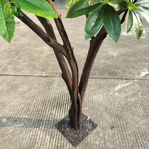 人工パチラマクロカルパの木フェイクツリー装飾用にカスタマイズ - Product Image 4