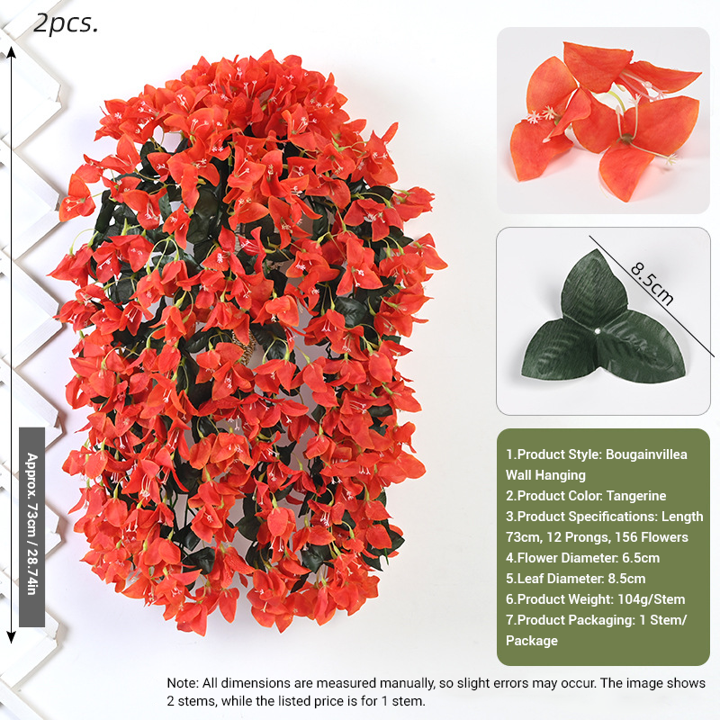 Bougainvillier orange