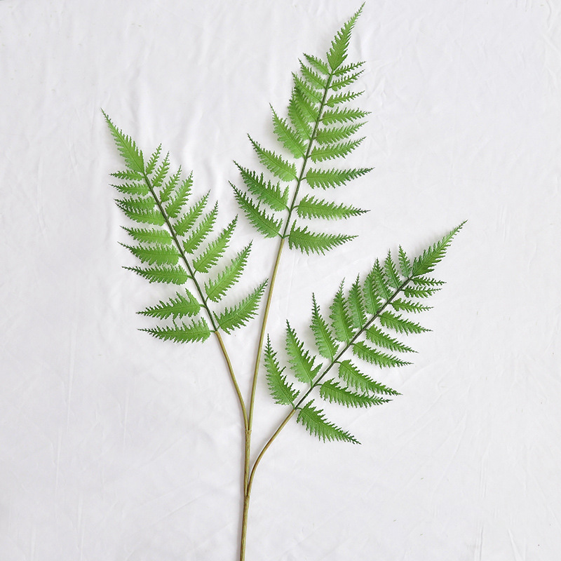Tige unique-trois feuilles dentelées