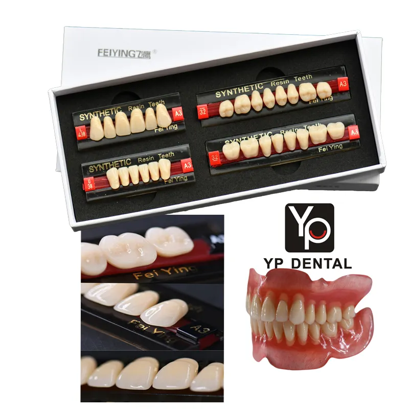 Denture dental acrílico, dentes dentados de resina sintética composto por dentes, em resina acrílica, multicamadas ce