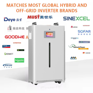 混合离网家用5Kw 10Kw太阳能产品安装储能系统48V Lifepo4 200Ah锂逆变器电池组 - Product Image 3