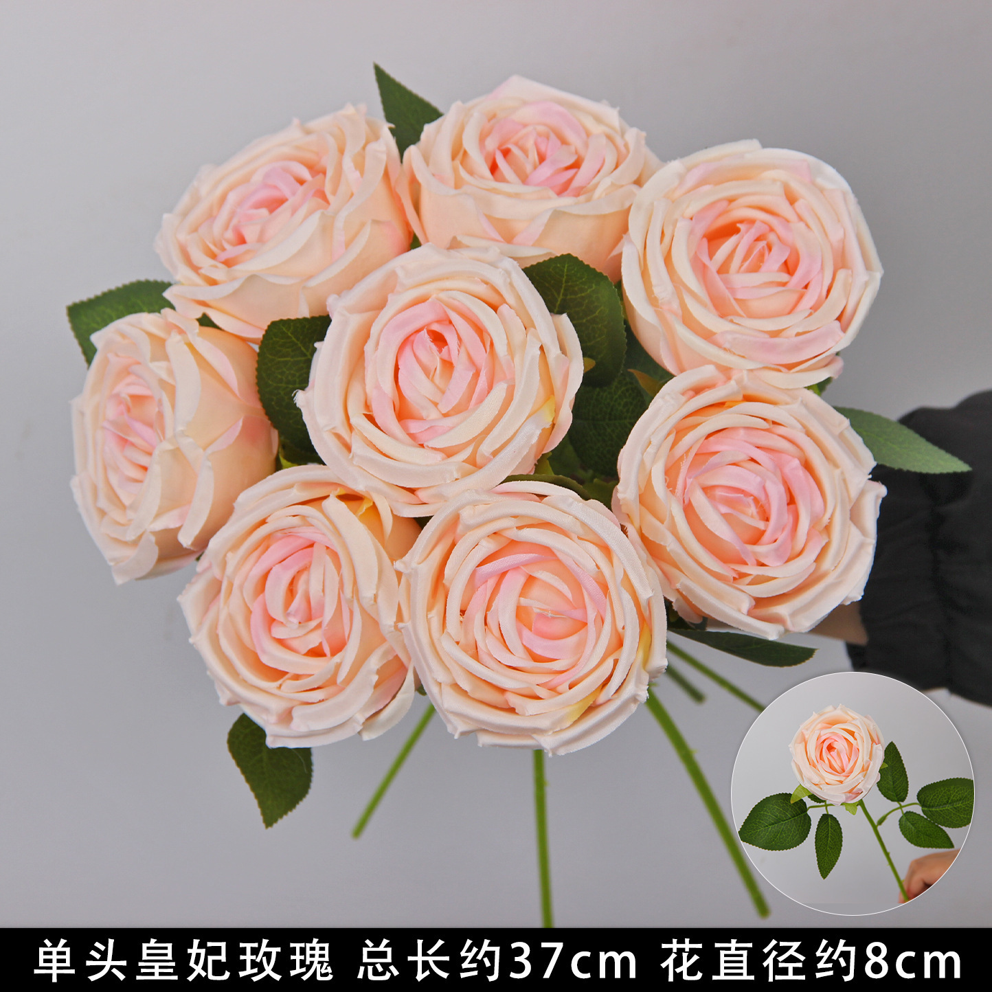 Champagne-colored single-headed royal rose