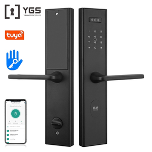 SYG緊急キーパスワードカード顔認識多重暗号化アルゴリズム技術電子スマートハンドルドアロック - Product Image 4