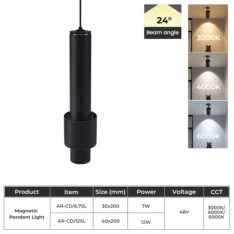 Magnetic Pendant Light