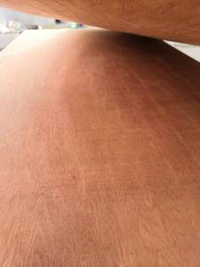 Tahan air kayu lapis lembar 4x8 12mm kayu lapis pinus dengan pelapis Om kayu lapis untuk Mandir - Product Image 3