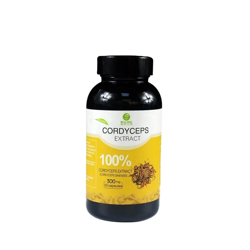 Gotobeauty Oem Herbal Supplements Cordyceps Extract Capsules Cordyceps sinensis poudre extrait de champignon