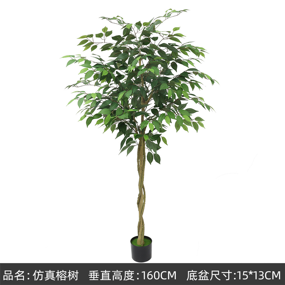 petit banian vert 160cm