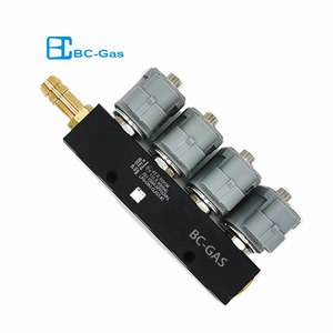 Sequentielles Kraftstoffs ystem 2Ohm 4-Zylinder-Einspritzschiene CNG LPG Digitale Kraftstoffe in spritz ung Lpg Gemeinsame Einspritz schiene
