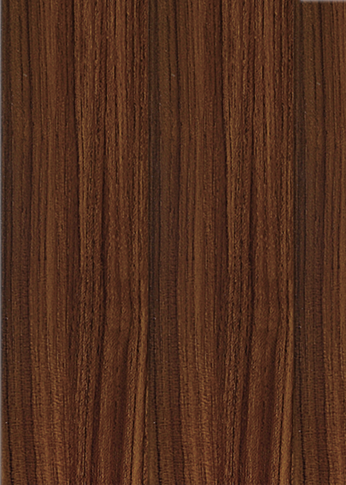 ไม้สักไทย