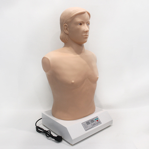 Full-automatic Heart-lung <strong>Palpation</strong> and Auscultation Computer Simulator (stand-alone Version) - Product Image 5