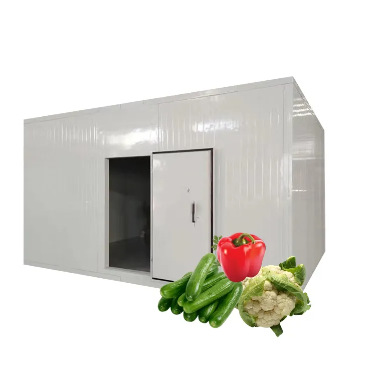Refrigerador comercial, grande armazenamento frio da fábrica