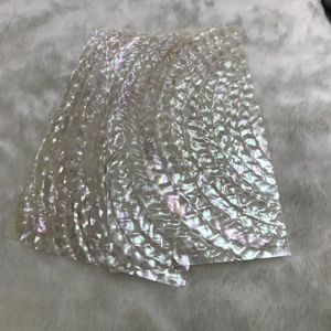 Doğal eğri şekli trocas turbo kabuk kağıt kabuk laminat, kabuk kakma - Product Image 4