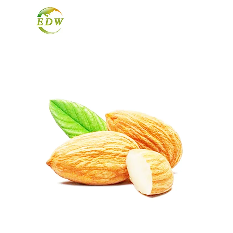 High Quality Pure Instant Almond Extract Powder Almond Protein Isolate Almond Protein