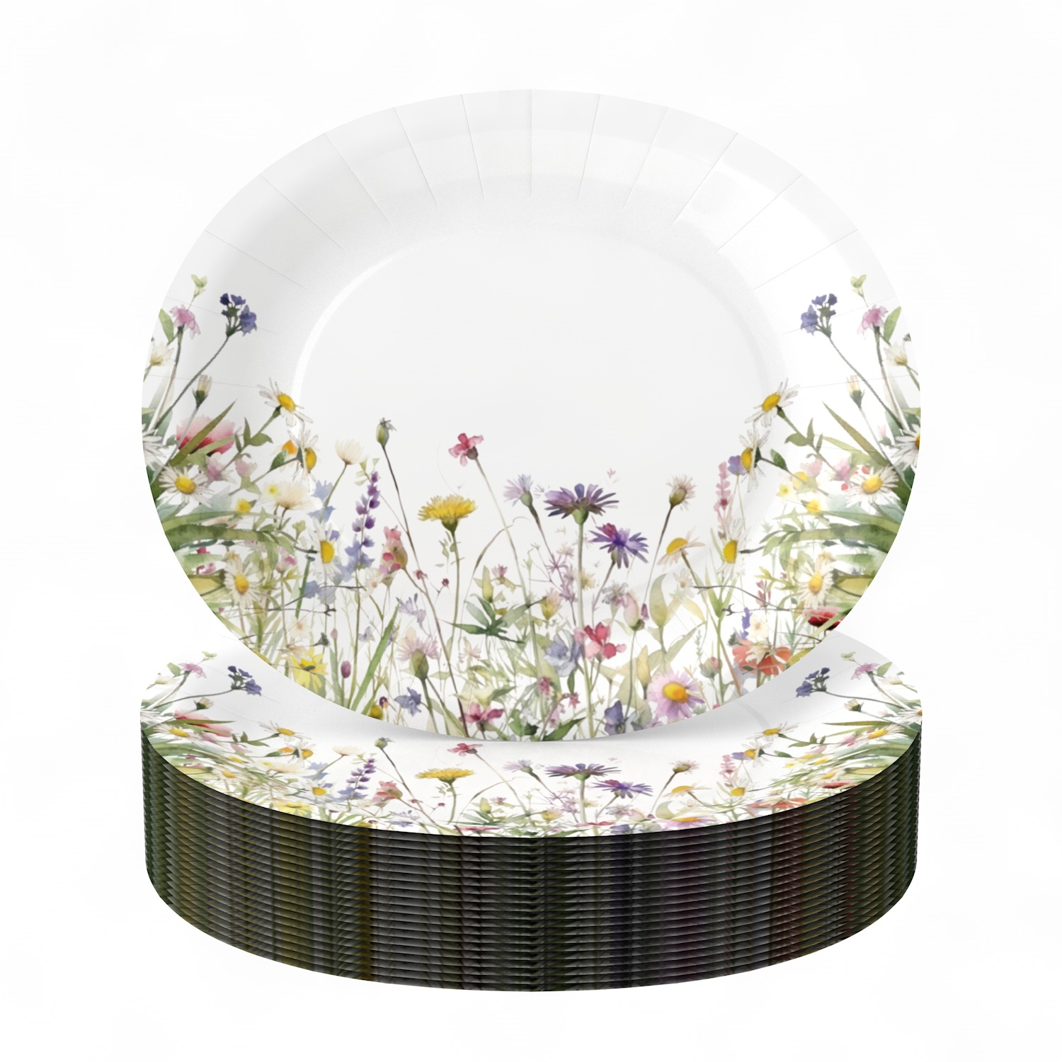 10 inch oval plates*10pcs