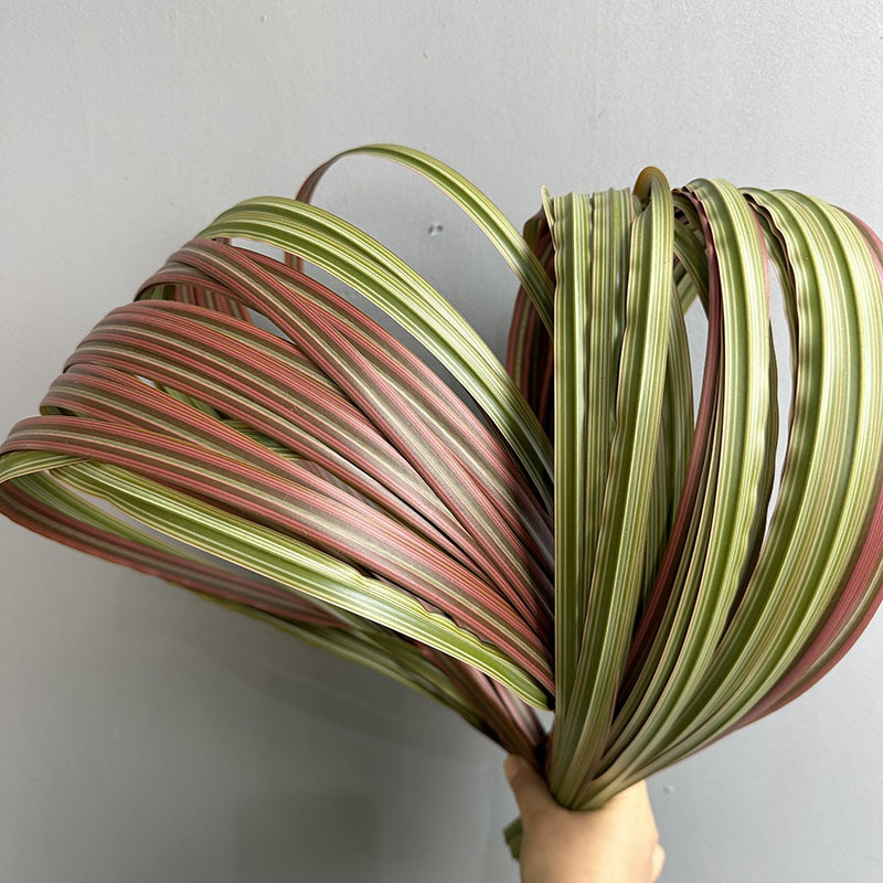 1m x 1.5cm Wide Purple-Red Bromeliad Flat Leaf