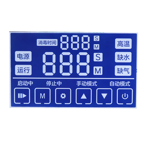 China Factory Segment Code LCD-Bildschirm Mehrere Farben Benutzer definierte Größe Segment code LCD-Anzeige LCD-Displays für Stromzähler