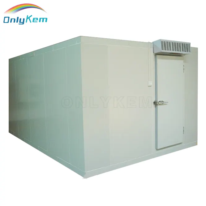 industrial cold storage room cold room solar powered for ice storage walk in cooler panel