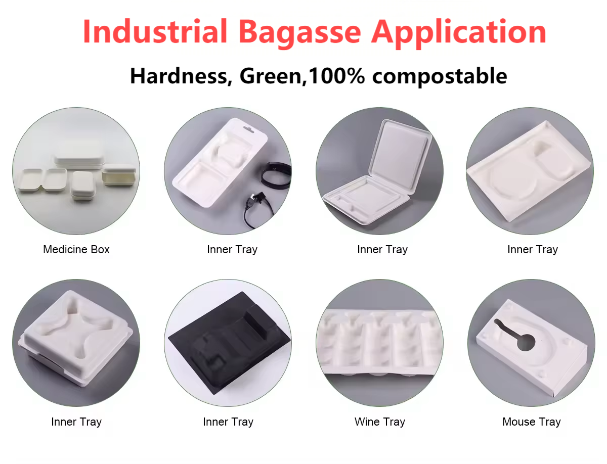 Industrial Bagasse Application